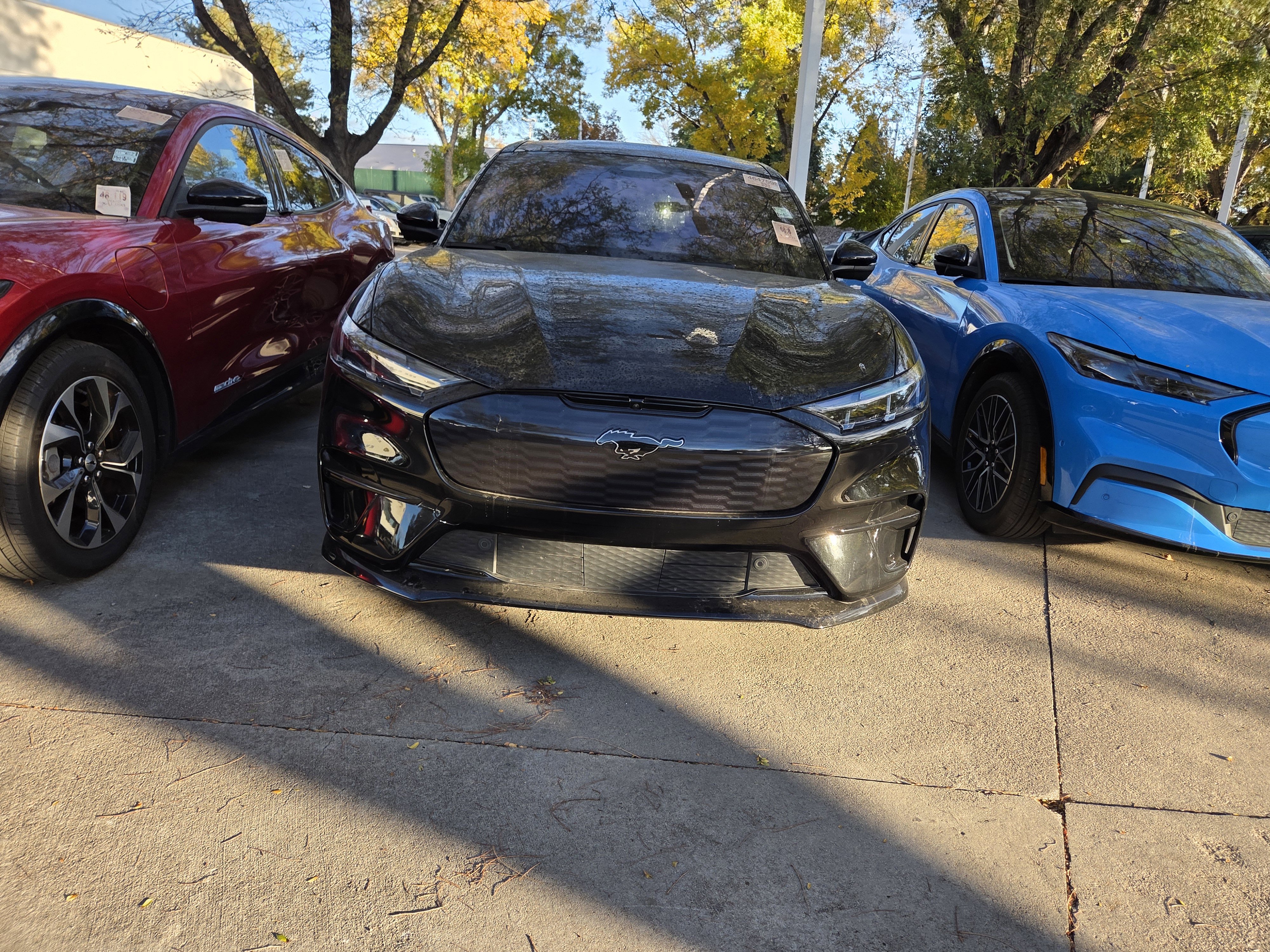 Used 2024 Ford Mustang Mach-E GT AWD with VIN 3FMTK4SX6RMA10871 for sale in Fort Collins, CO