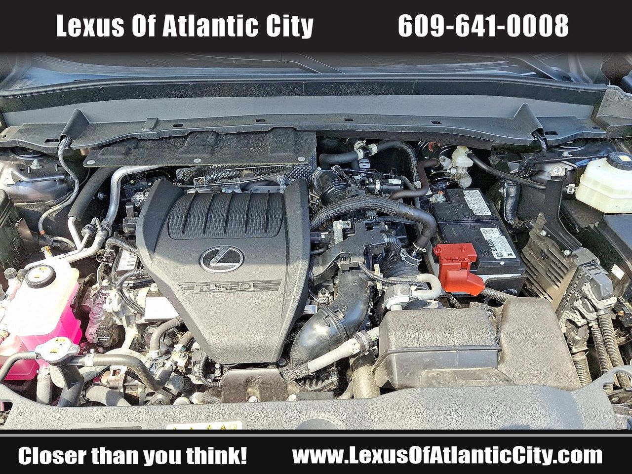 2024 Lexus TX 350 photo 28