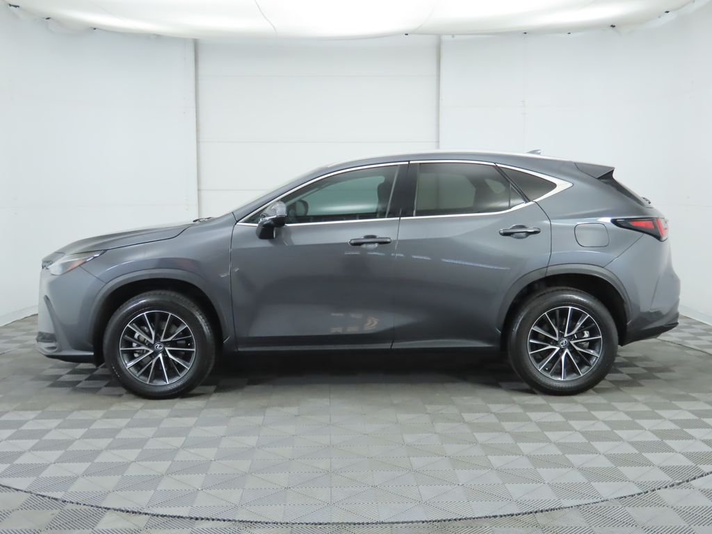 2024 Lexus NX 250 photo 6