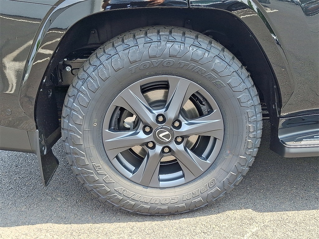 2025 Lexus LX photo 6