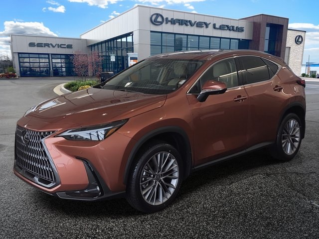 2026 Lexus NX 350's photo