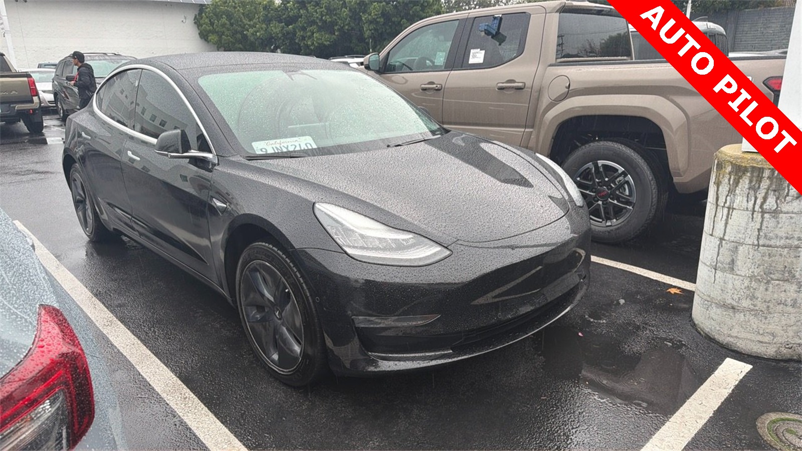 2020 Tesla Model 3 Base's photo