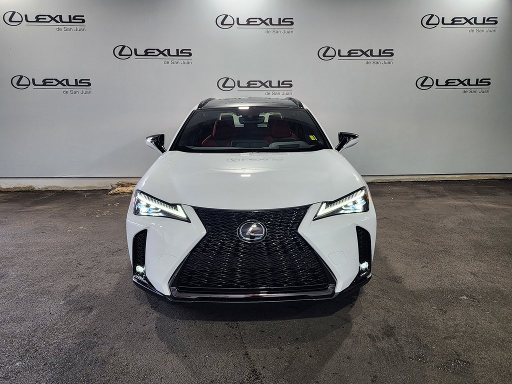 2025 Lexus UX photo 2