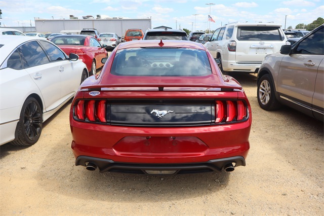 2023 Ford Mustang EcoBoost Premium photo 3