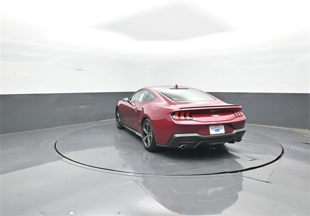 2025 Ford Mustang EcoBoost Premium photo 4