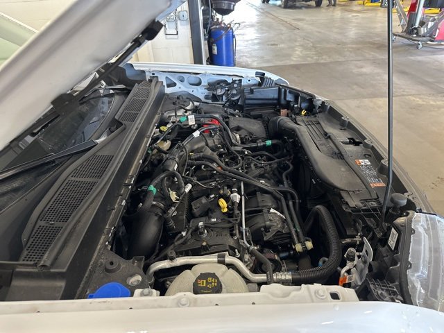 2024 Ford Maverick XLT Tremor photo 37