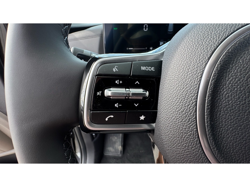 2026 Kia Carnival LXS photo 10