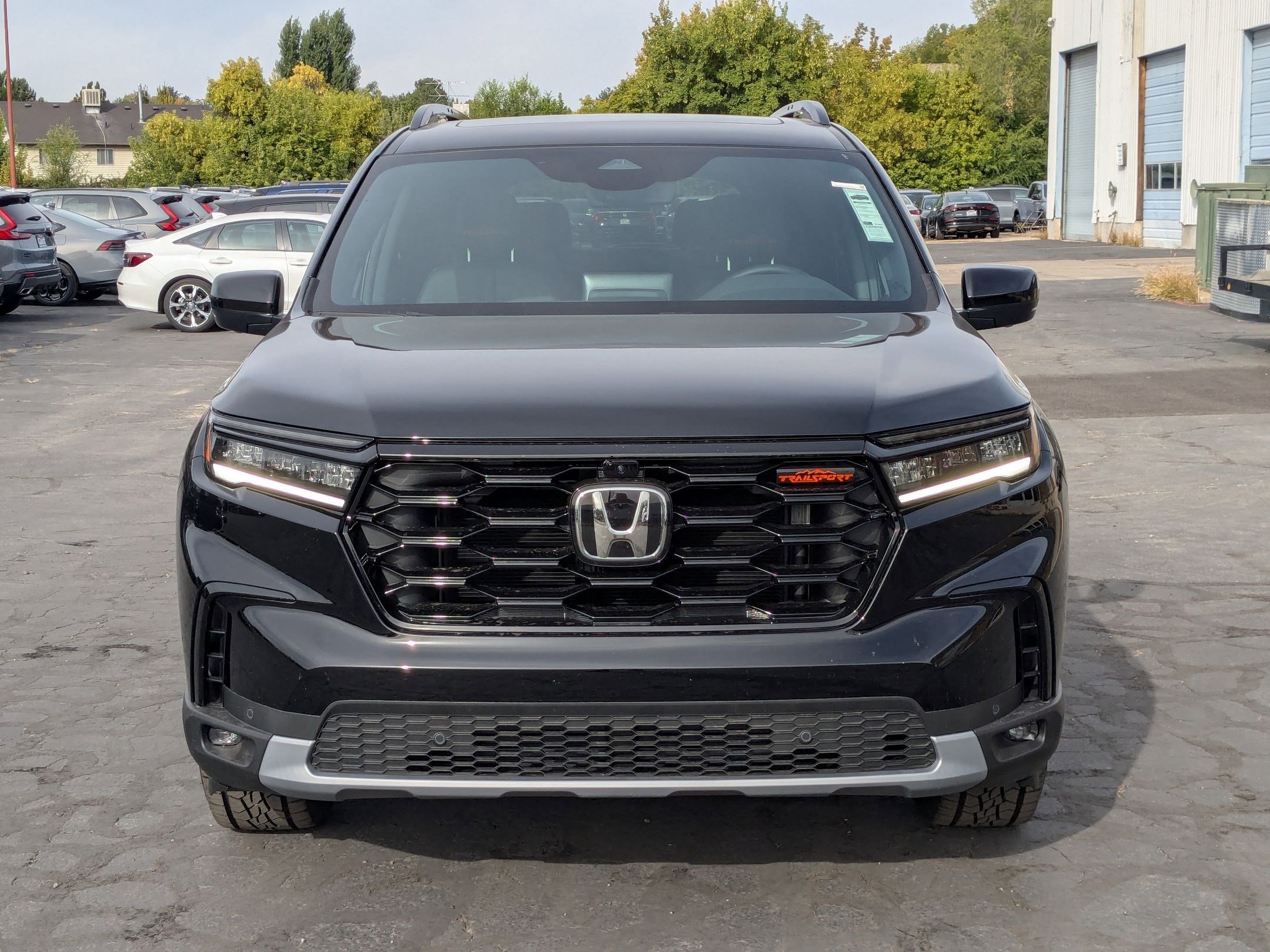 2025 Honda Pilot TrailSport photo 8