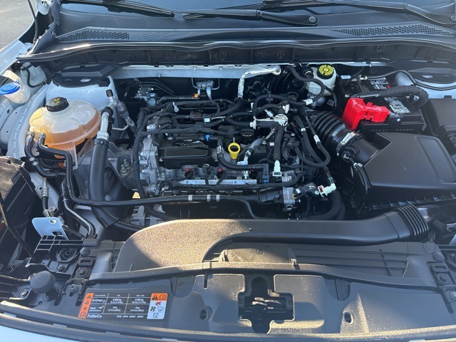 View 25