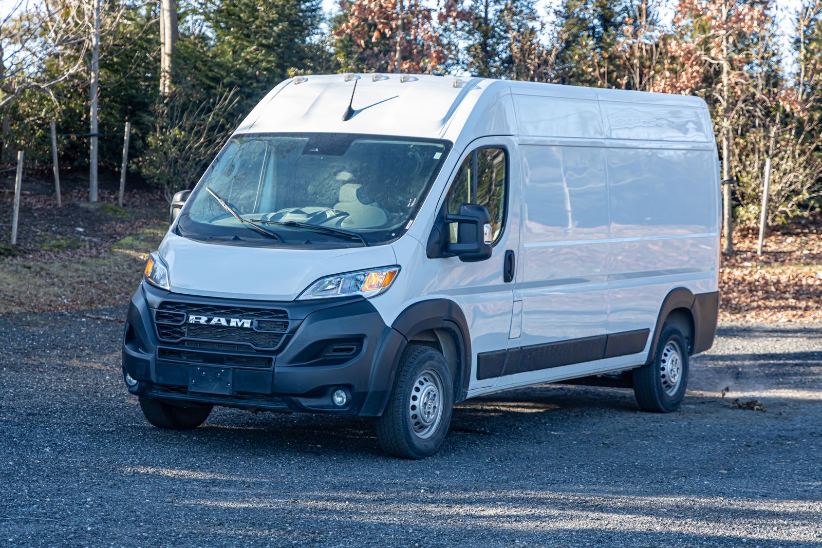 2024 RAM ProMaster Cargo Van Base's photo