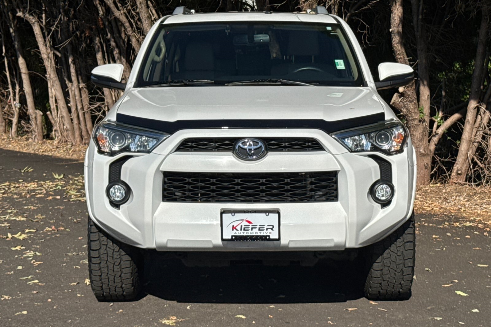 2018 Toyota 4Runner SR5 Premium Limited TRD Pro photo 9