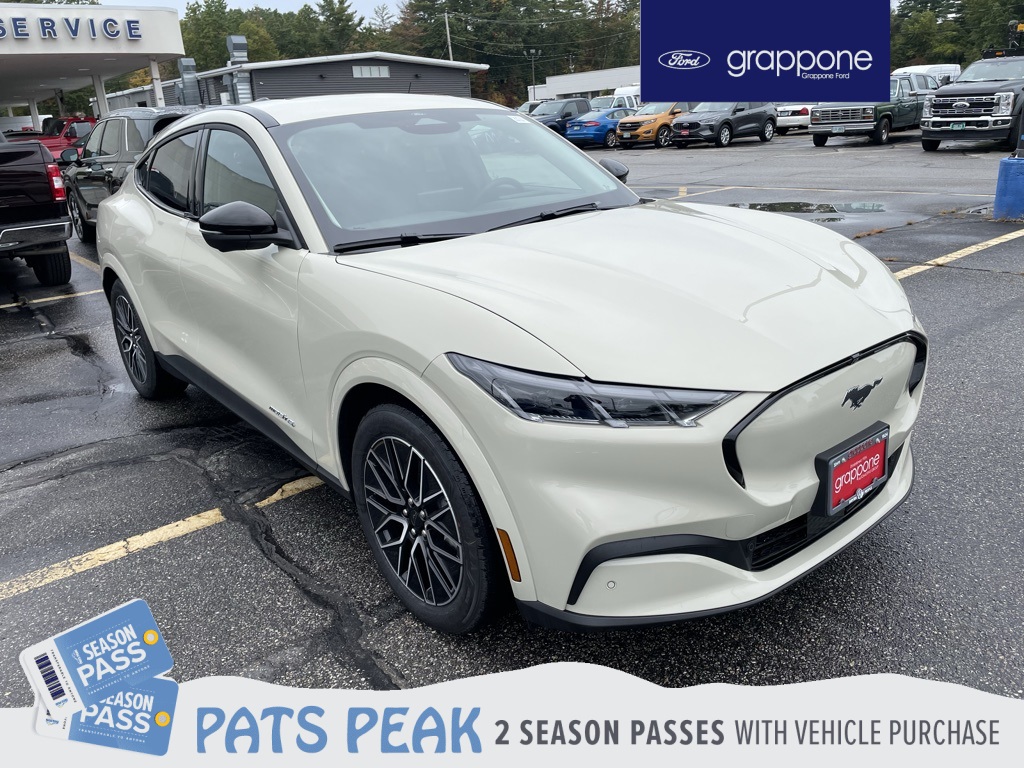 2025 Ford Mustang Mach-E Premium AWD's photo