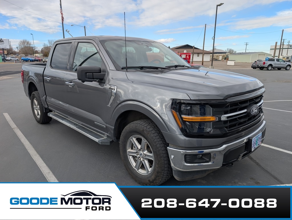 2024 Ford F-150 XLT's photo