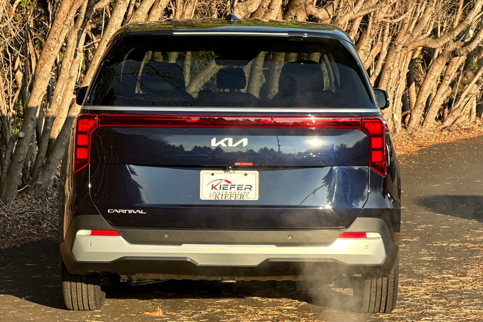 2026 Kia Carnival LXS photo 3