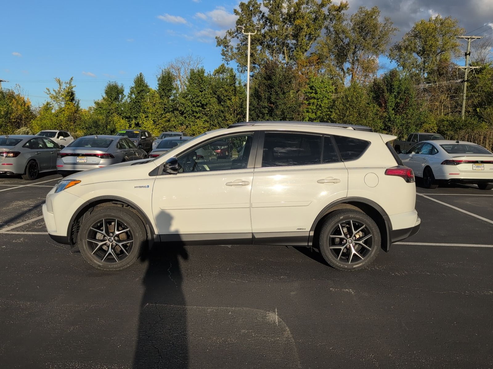 2018 Toyota RAV4 Hybrid SE photo 2