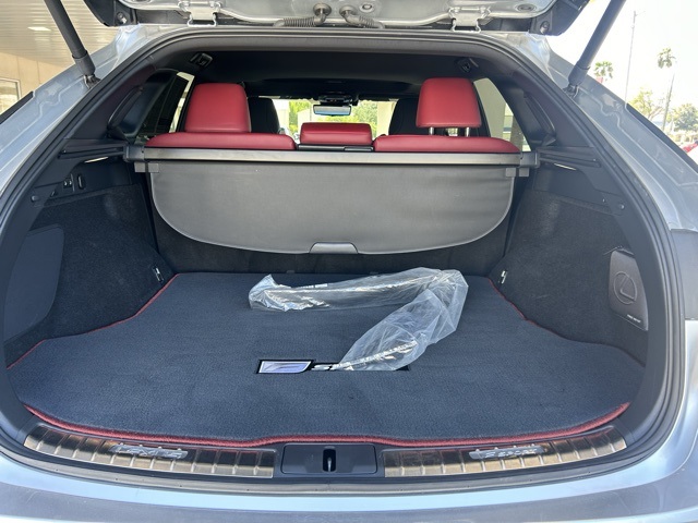2024 Lexus RX 350 photo 30