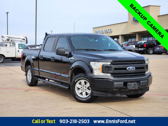 2020 Ford F-150 XL's photo