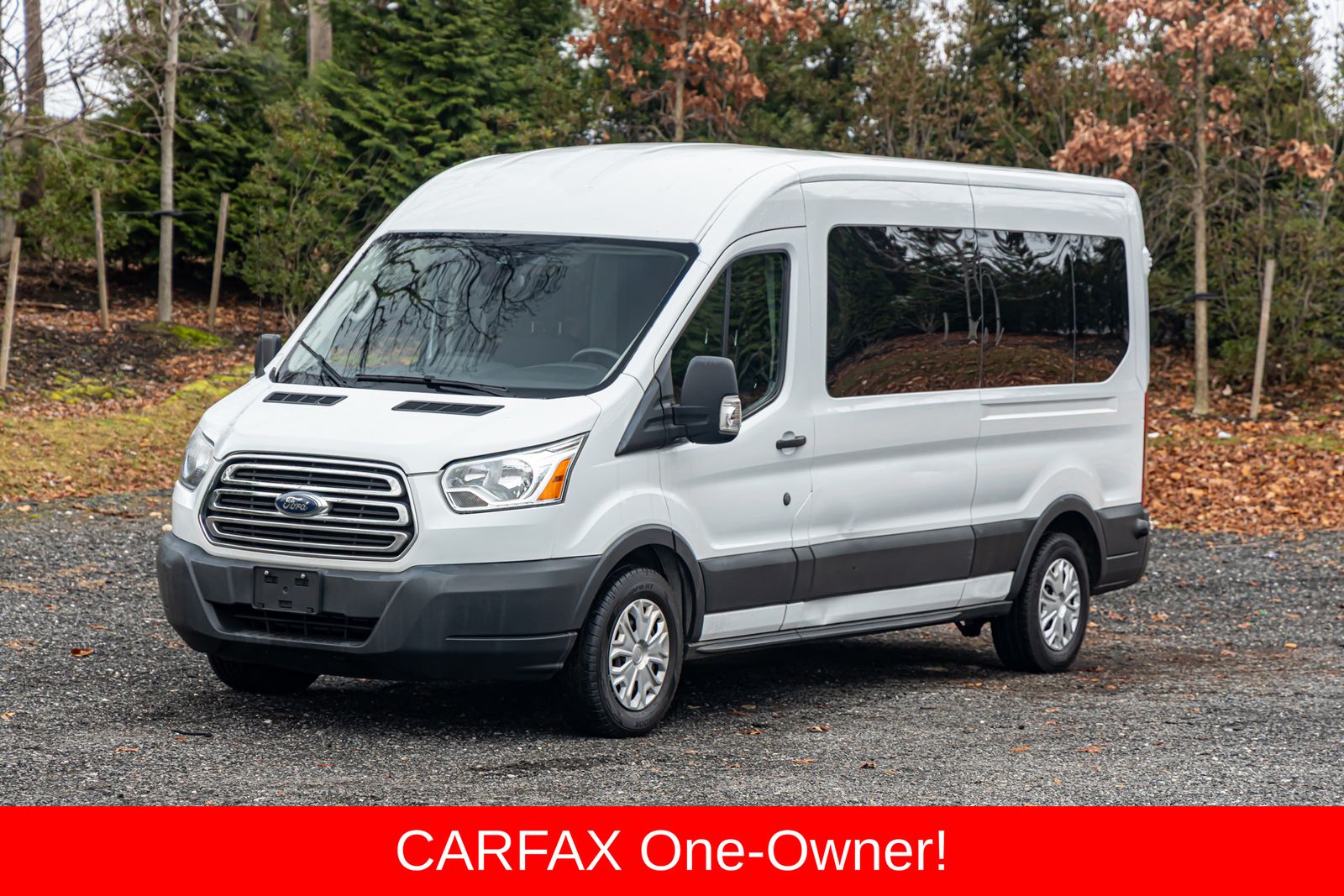 2018 Ford Transit Wagon XLT's photo