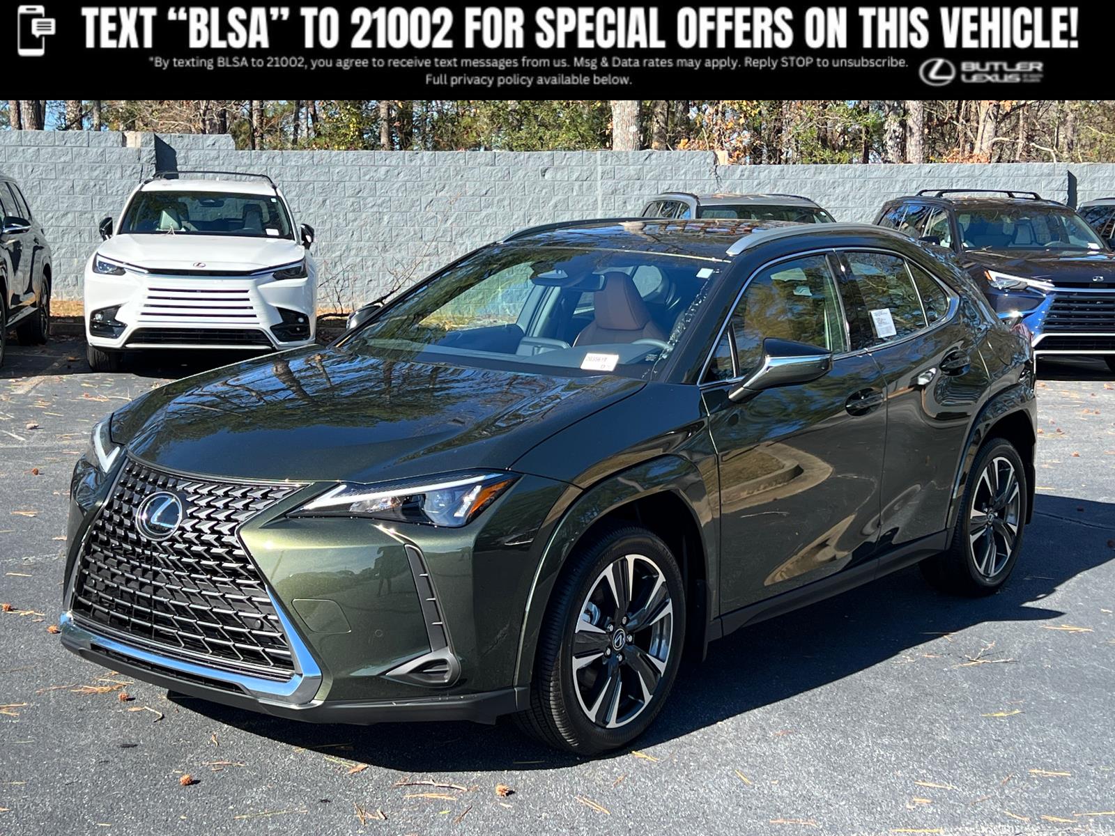 2025 Lexus UX Hybrid 300h Premium