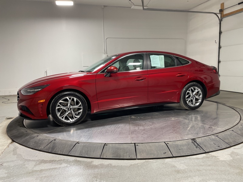 2023 Hyundai Sonata SEL photo 4