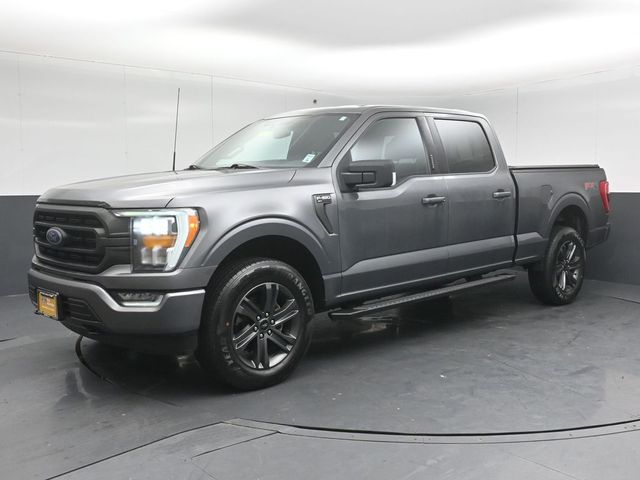 2023 FORD F-150 - Image 3