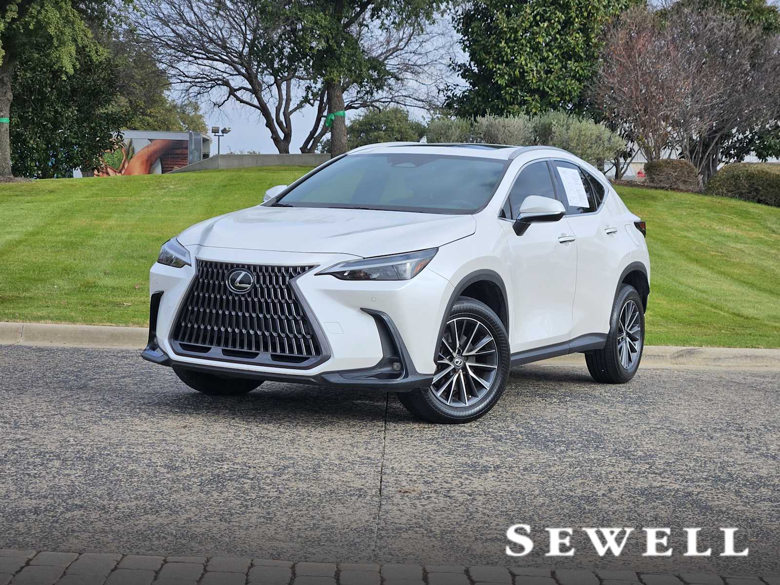 2022 Lexus NX 350's photo