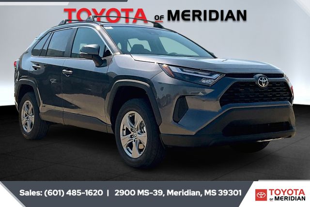 2025 Toyota RAV4 XLE's photo