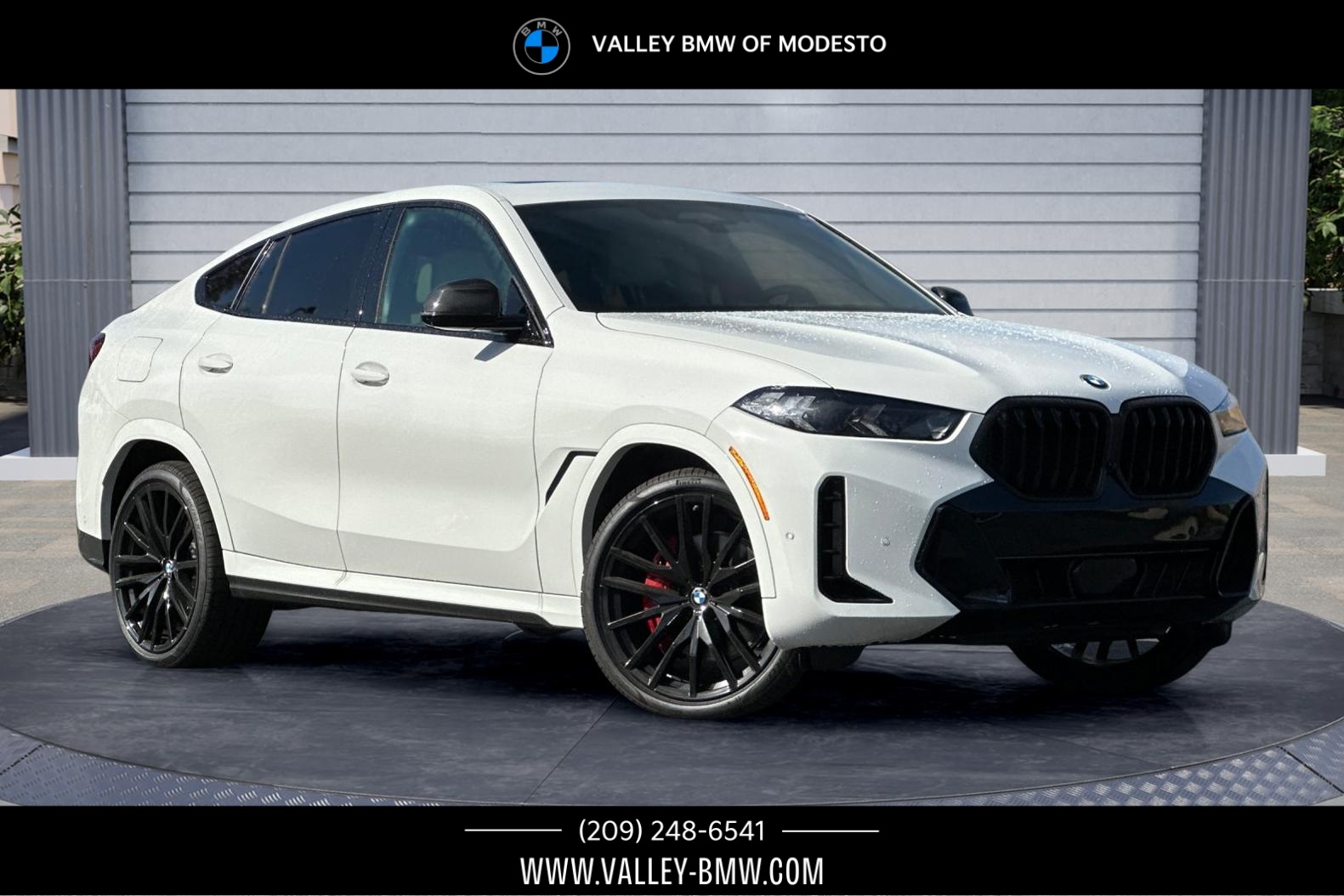 2026 BMW X6