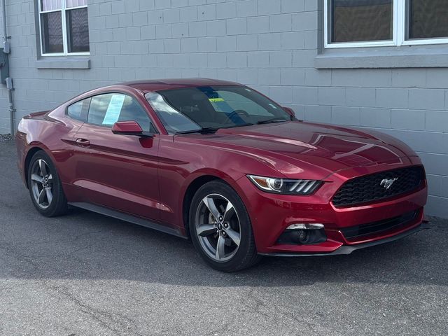 2015 Ford Mustang V6 photo 2