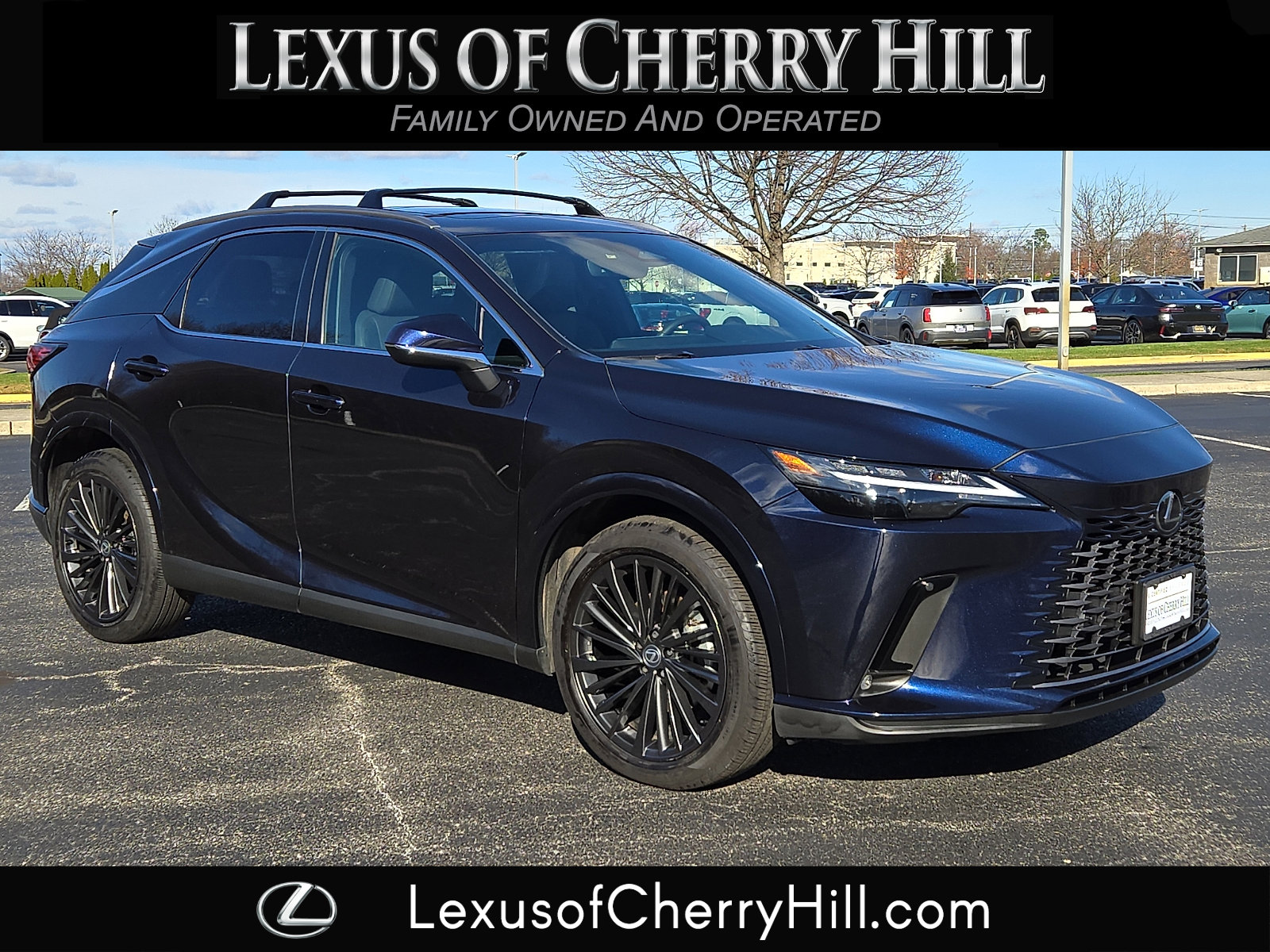 2024 Lexus RX 350's photo