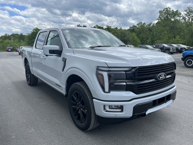 2025 Ford F-150 Platinum's photo