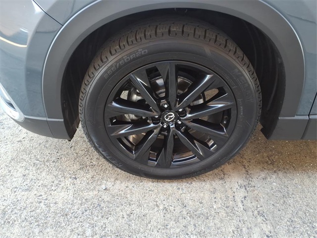 2023 Mazda CX-9 Carbon photo 9
