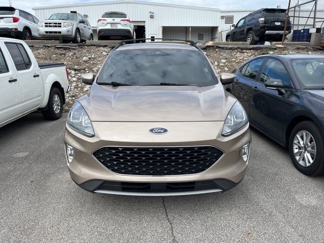 2020 Ford Escape SEL photo 2