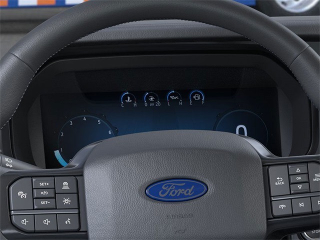 2025 Ford F-150 Platinum photo 11