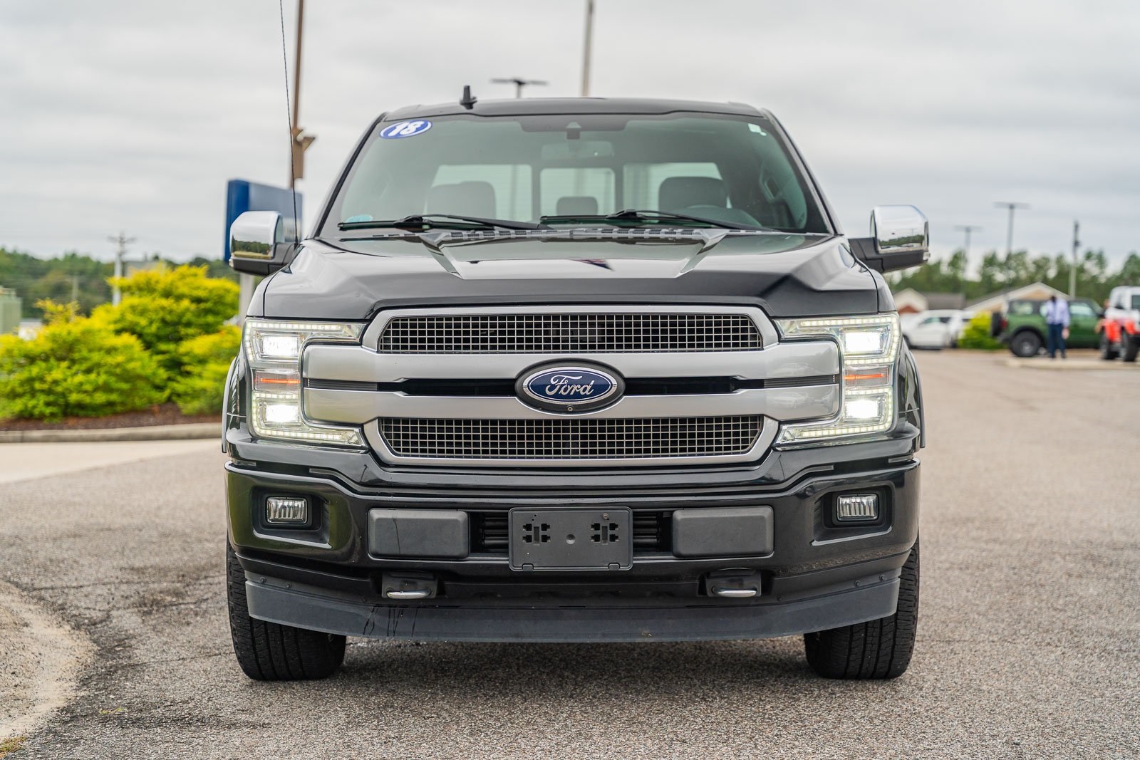 2018 Ford F-150 Platinum photo 2