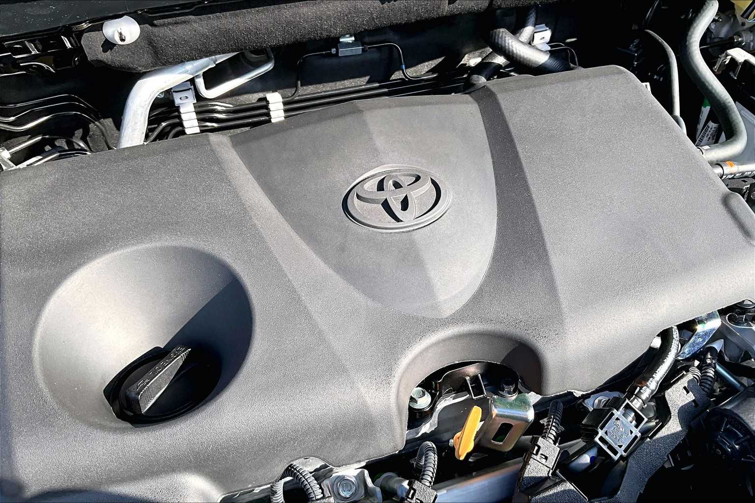 2025 Toyota RAV4 XLE photo 15