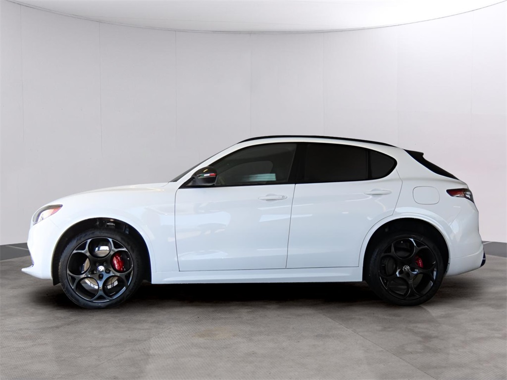 2025 Alfa Romeo Stelvio Tributo Italiano photo 4