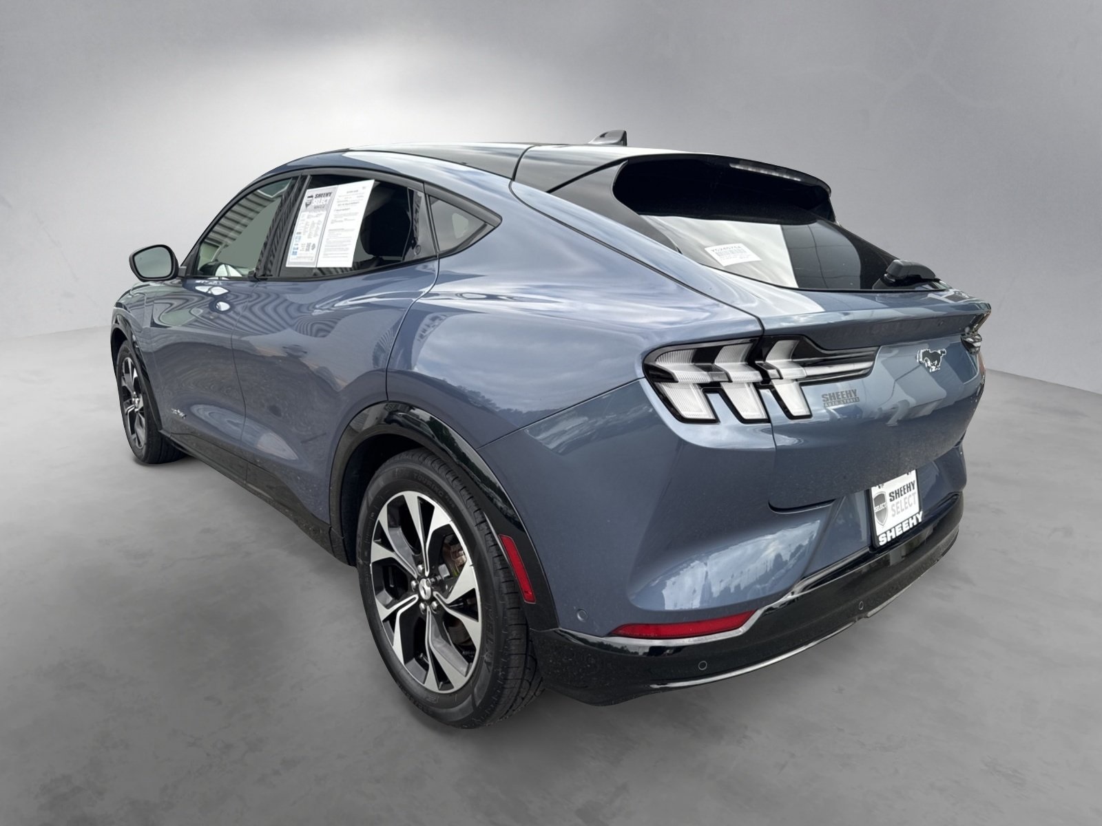 2021 Ford Mustang Mach-E Premium photo 11