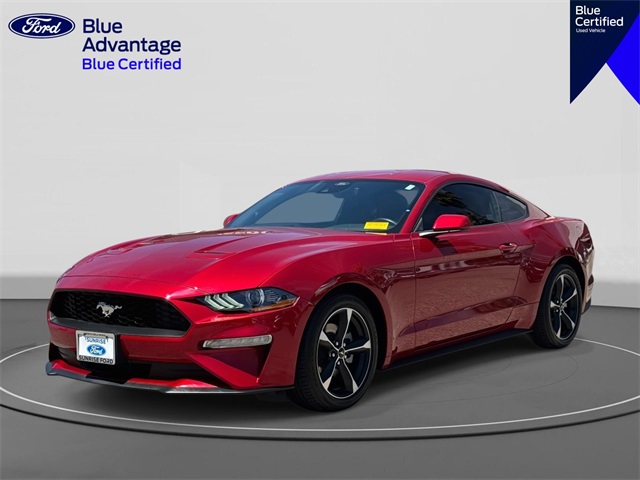 2022 Ford Mustang