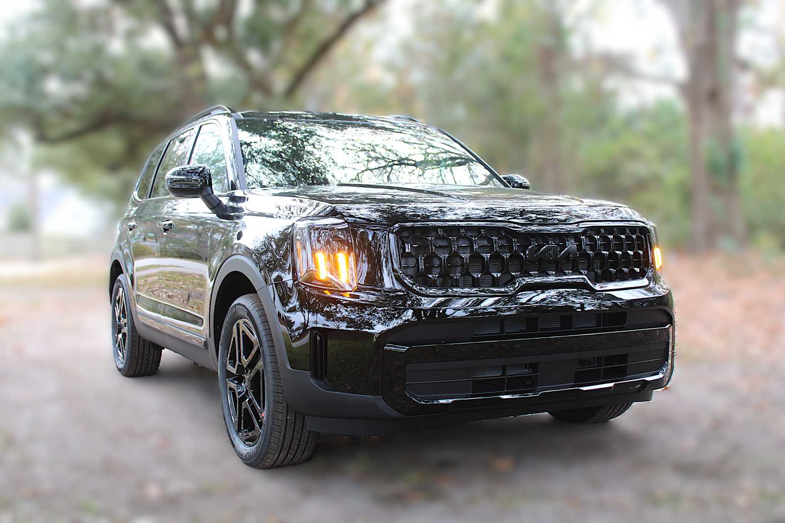 2025 Kia Telluride EX X-Line photo 2