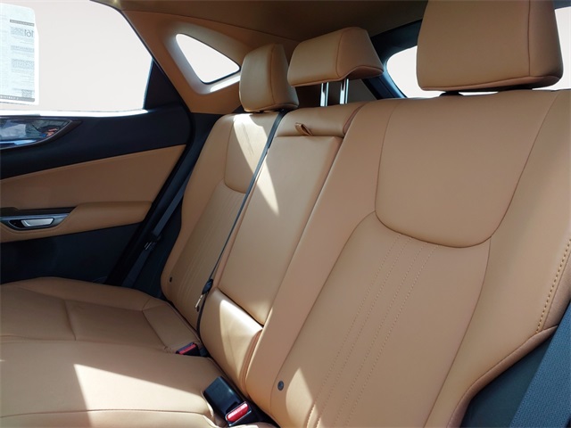 2024 Lexus NX 350h Premium photo 13