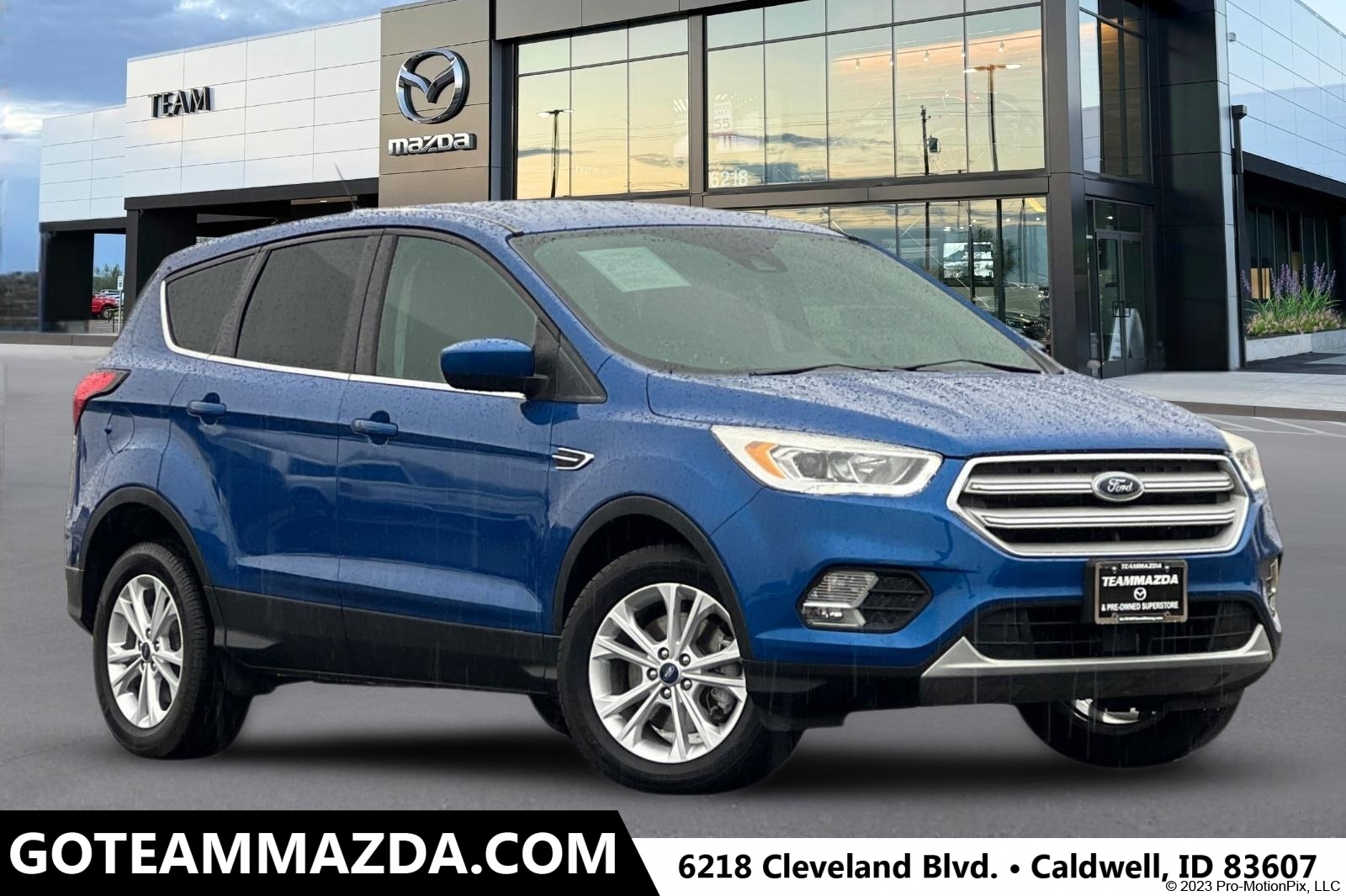 2019 Ford Escape SEL's photo