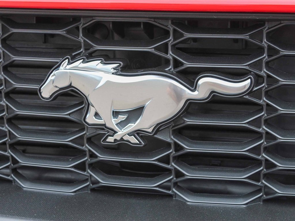 2025 Ford Mustang EcoBoost photo 5