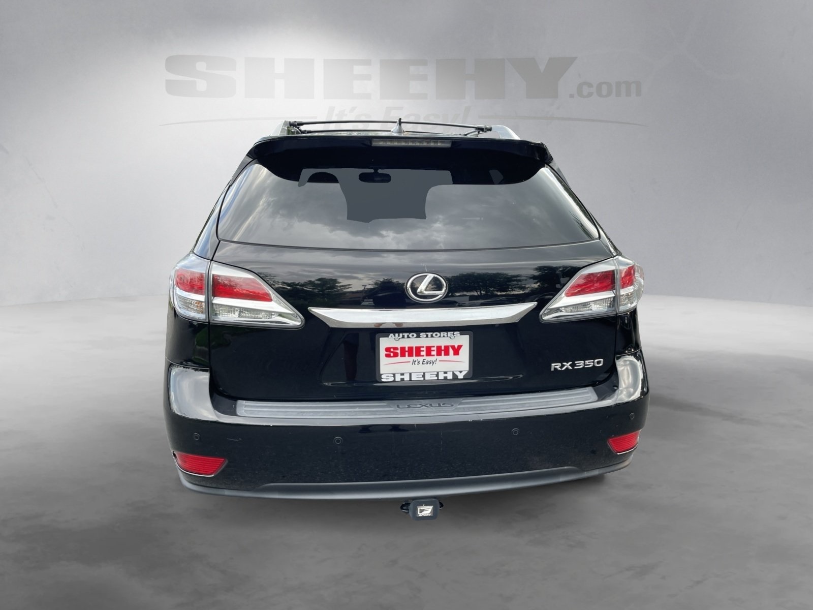2014 Lexus RX F SPORT 350 photo 6