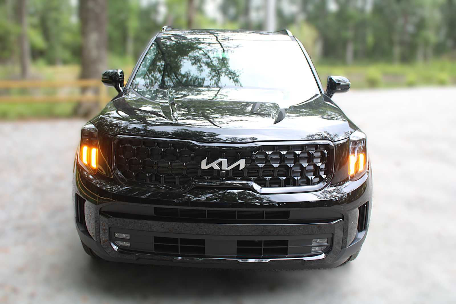 2025 Kia Telluride SX Prestige X-Line photo 14