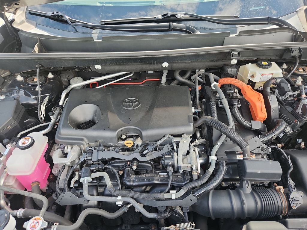 2019 Toyota RAV4 Hybrid LE photo 20