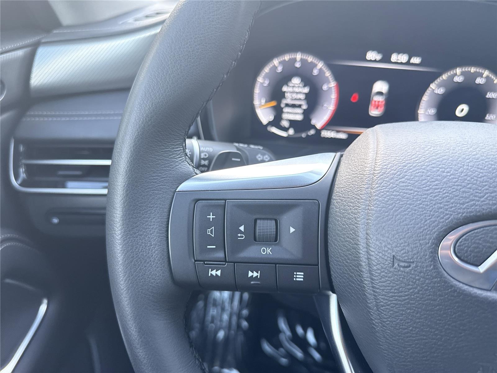 2025 Infiniti QX60 Luxe photo 12