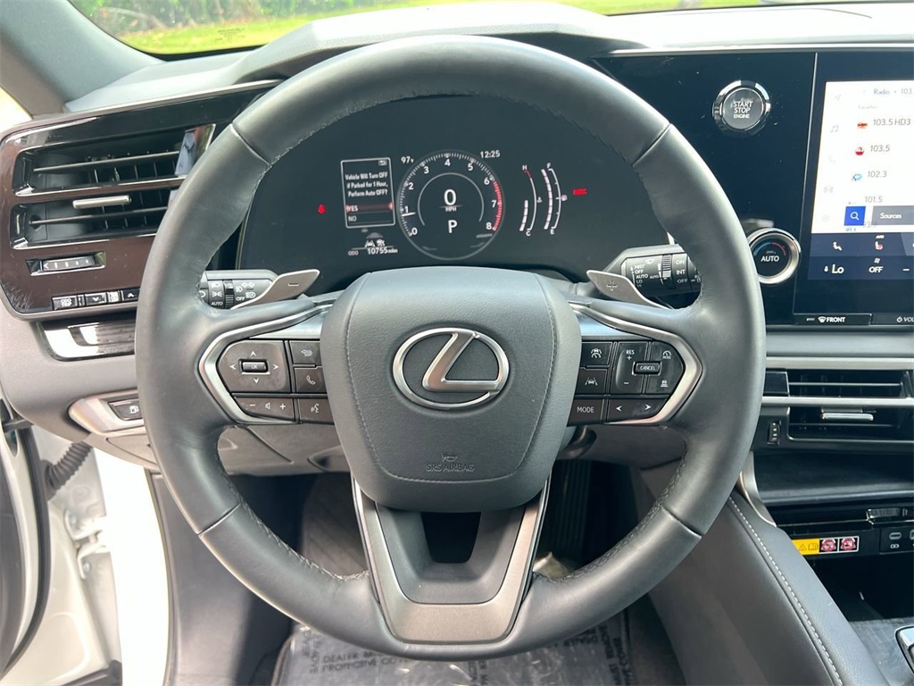 2024 Lexus RX 350 photo 12