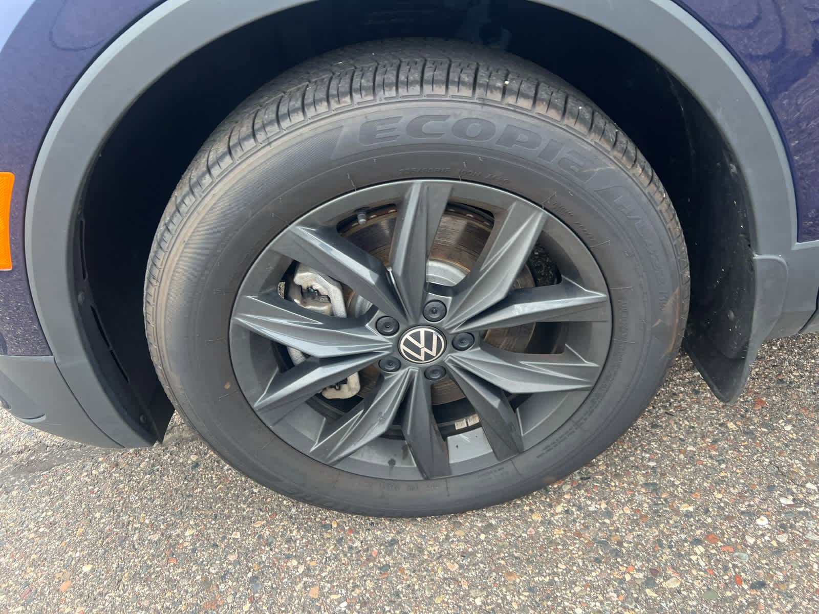 2024 Volkswagen Tiguan SE Wolfsburg Edition photo 7