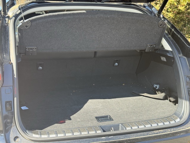 2016 Lexus NX 200t Luxury photo 4